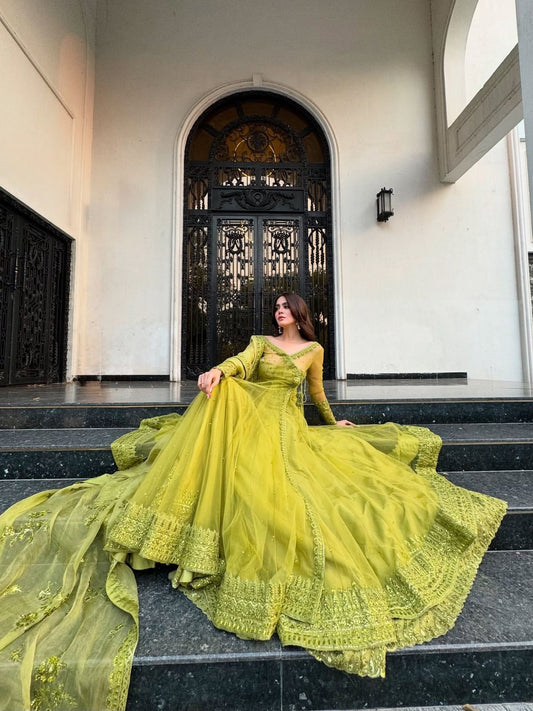 Dream Butterfly Net Lehenga Set with Shrug