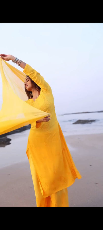 Premium Rayon Dyed Chikankari Suit