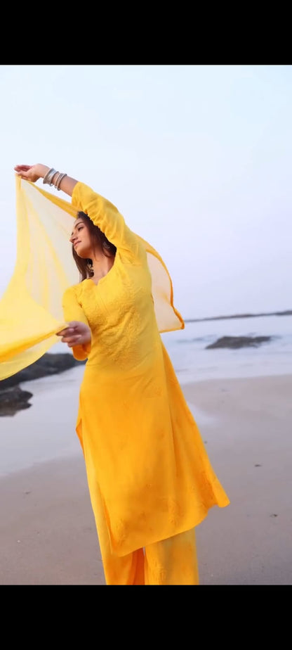 Premium Rayon Dyed Chikankari Suit