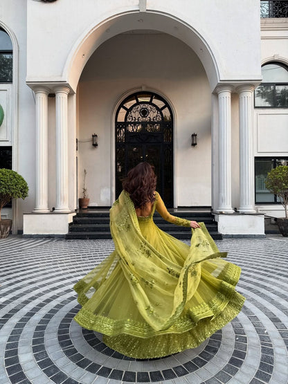 Dream Butterfly Net Lehenga Set with Shrug